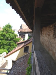 110520126.jpg