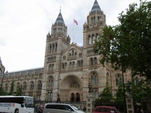 NHM1.jpg
