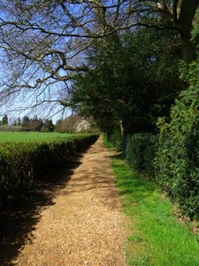 RIMG0034.jpg