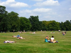 RIMG0047.jpg