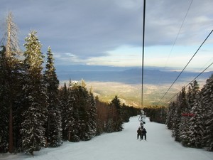 RIMG0100.jpg