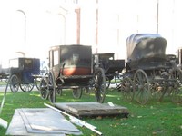 RIMG0113.jpg