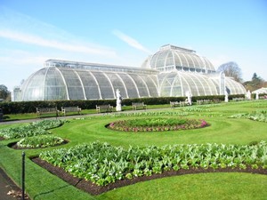 greenhouse.jpg