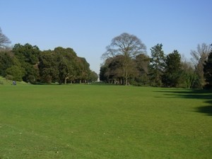 kew.jpg